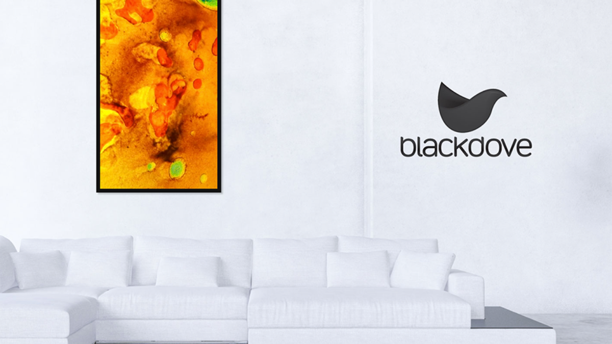 Blackdove